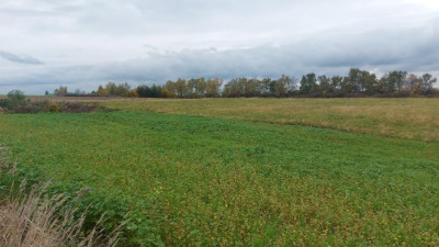 Działka budowlana - Góra Siewierska   -
Śląskie Zdjęcie nr 7