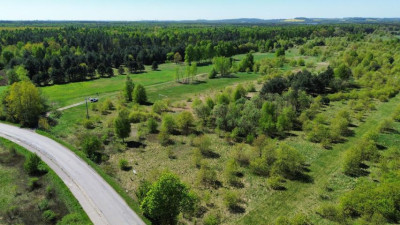 Działka rolno-budowlana - Sączów  -
Śląskie Zdjęcie nr 9