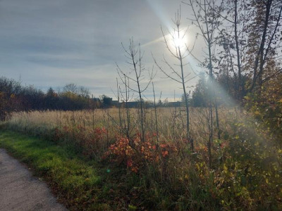 Działka budowlana - Wysoka  -
Śląskie Zdjęcie nr 5