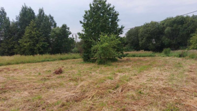 Działka budowlana - Trzebyczka  -
Śląskie Zdjęcie nr 5