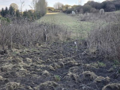 Działka budowlana - Dąbie  -
Śląskie Zdjęcie nr 5