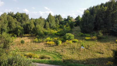 Działka budowlana - Sadowie  - Śląskie