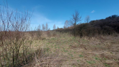 Działka budowlana - Niegowoniczki  -
Śląskie Zdjęcie nr 11