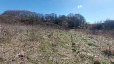 Działka budowlana - Niegowoniczki  -
Śląskie Zdjęcie nr 12