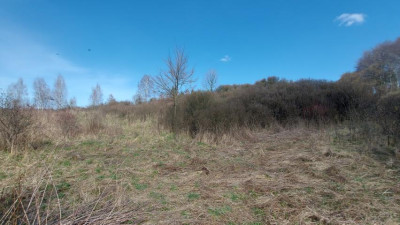 Działka budowlana - Niegowoniczki  -
Śląskie Zdjęcie nr 14