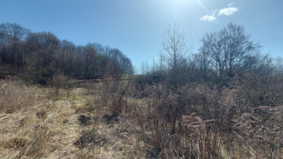 Działka budowlana - Niegowoniczki  -
Śląskie Zdjęcie nr 9