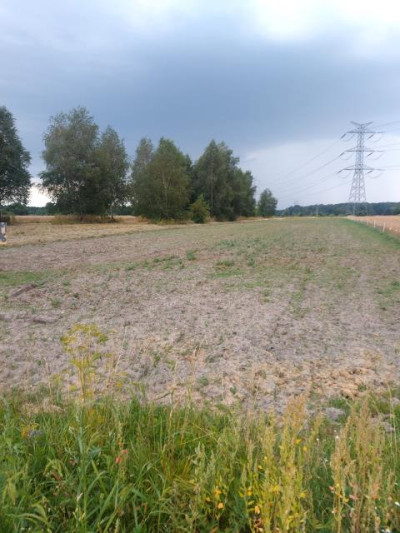 Działka rolno-budowlana - Warężyn  - Śląskie