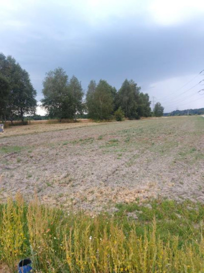 Działka rolno-budowlana - Warężyn  -
Śląskie Zdjęcie nr 2