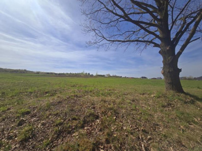 Działka budowlana - Myszkowice  - Śląskie