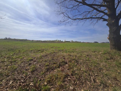 Działka budowlana - Myszkowice  -
Śląskie Zdjęcie nr 2