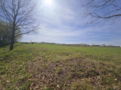 Działka budowlana - Myszkowice  -
Śląskie Zdjęcie nr 3