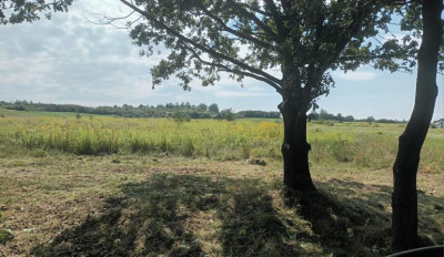 Działka budowlana - Myszkowice  -
Śląskie Zdjęcie nr 4