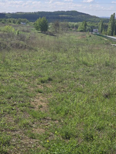 Działka budowlana - Siemonia  -
Śląskie Zdjęcie nr 3