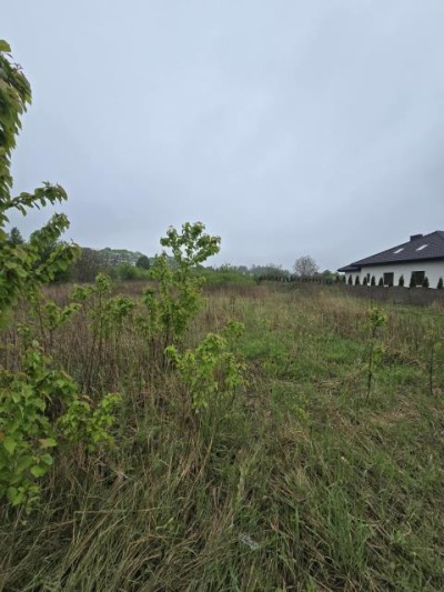 Działka budowlana - Ujejsce  -
Śląskie Zdjęcie nr 3