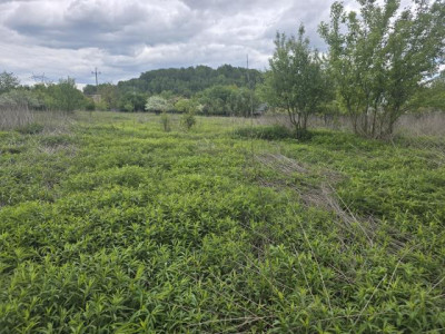 Działka budowlana - Wojkowice  -
Śląskie Zdjęcie nr 4