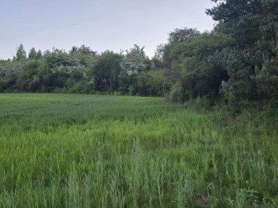 Działka budowlana - Najdziszów  -
Śląskie Zdjęcie nr 8