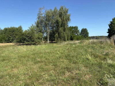 Malownicze siedlisko blisko Szamotuł - Osowo Stare  -
wielkopolskie Zdjęcie nr 10