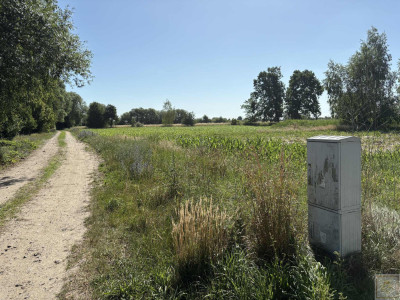 Malownicze siedlisko blisko Szamotuł - Osowo Stare  -
wielkopolskie Zdjęcie nr 13