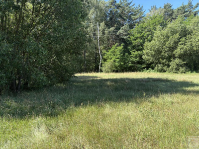 Malownicze siedlisko blisko Szamotuł - Osowo Stare  - wielkopolskie