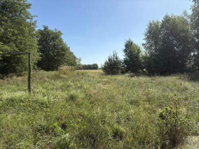 Malownicze siedlisko blisko Szamotuł - Osowo Stare  -
wielkopolskie Zdjęcie nr 2