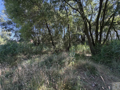 Malownicze siedlisko blisko Szamotuł - Osowo Stare  -
wielkopolskie Zdjęcie nr 3