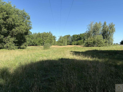 Malownicze siedlisko blisko Szamotuł - Osowo Stare  -
wielkopolskie Zdjęcie nr 4