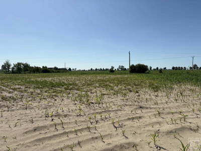 Malownicze siedlisko blisko Szamotuł - Osowo Stare  -
wielkopolskie Zdjęcie nr 5