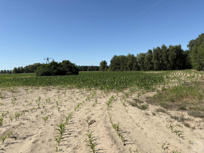 Malownicze siedlisko blisko Szamotuł - Osowo Stare  -
wielkopolskie Zdjęcie nr 6