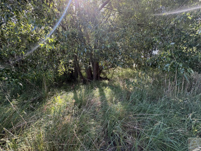 Malownicze siedlisko blisko Szamotuł - Osowo Stare  -
wielkopolskie Zdjęcie nr 7