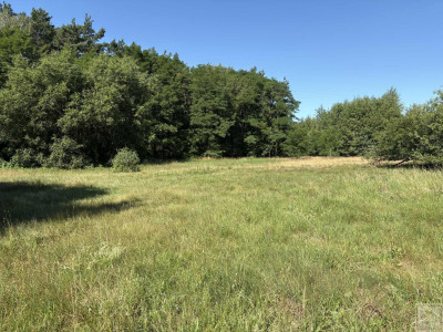 Malownicze siedlisko blisko Szamotuł - Osowo Stare  -
wielkopolskie Zdjęcie nr 9