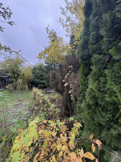 Działka ogrodnicza - Poznań  -
wielkopolskie Zdjęcie nr 7