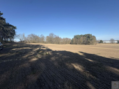 Sielski klimat Natury 2000 tylko 35 km od Poznania - Łubowice  -
wielkopolskie Zdjęcie nr 10