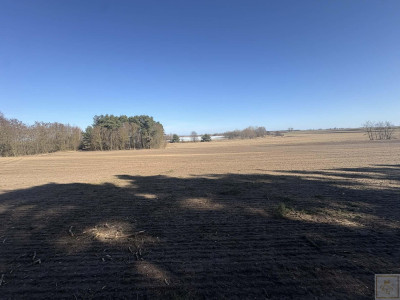 Sielski klimat Natury 2000 tylko 35 km od Poznania - Łubowice  -
wielkopolskie Zdjęcie nr 11