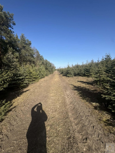 Sielski klimat Natury 2000 tylko 35 km od Poznania - Łubowice  -
wielkopolskie Zdjęcie nr 4