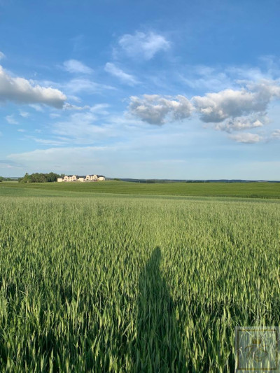 Poznań Morasko działka rezydencjonalna - Morasko  -
wielkopolskie Zdjęcie nr 5