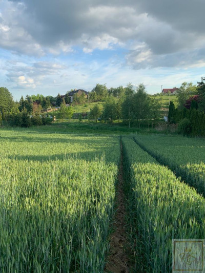 Poznań Morasko działka rezydencjonalna - Morasko  -
wielkopolskie Zdjęcie nr 7