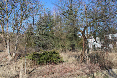 Murowana Goślina działka pod kameralne osiedle - Murowana Goślina  -
wielkopolskie Zdjęcie nr 5