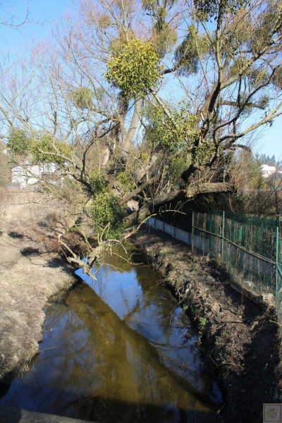 Murowana Goślina działka pod kameralne osiedle - Murowana Goślina  -
wielkopolskie Zdjęcie nr 7