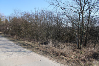 Murowana Goślina działka pod kameralne osiedle - Murowana Goślina  -
wielkopolskie Zdjęcie nr 8