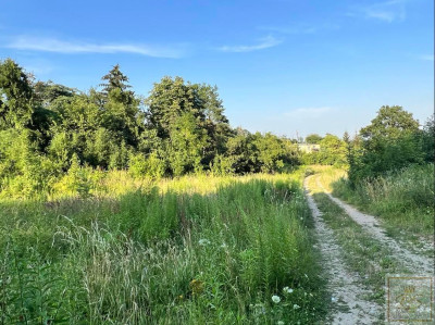 Mosina działka z warunkami zabudowy przy Wielkopolskim Parku Narodowym - Mosina  -
wielkopolskie Zdjęcie nr 4