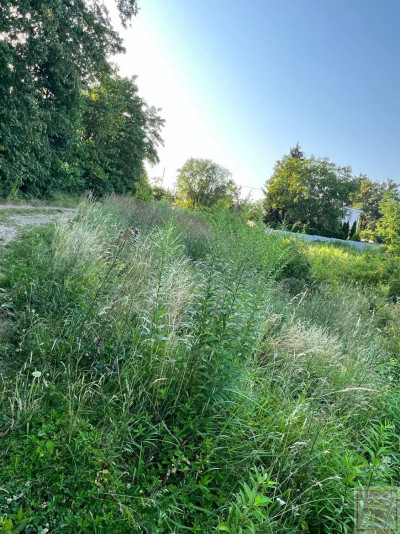 Mosina działka z warunkami zabudowy przy Wielkopolskim Parku Narodowym - Mosina  -
wielkopolskie Zdjęcie nr 6