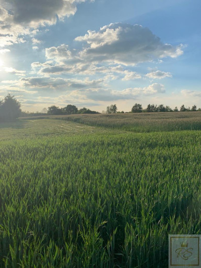 Poznań Morasko Widokowa działka - Morasko  -
wielkopolskie Zdjęcie nr 4