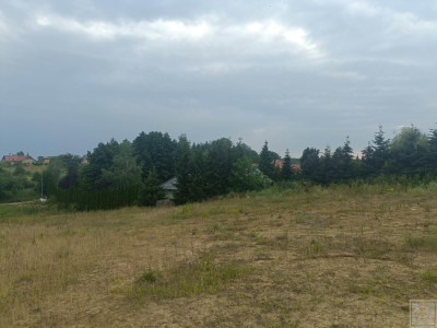 Poznań Morasko Widokowa działka - Morasko  -
wielkopolskie Zdjęcie nr 7