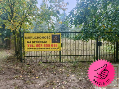 Kicin Czerwonak Uroczysko przy lesie 659 000 PLN - Czerwonak   -
wielkopolskie Zdjęcie nr 2