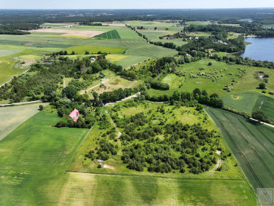 Mega okazja Piękna działka - Potrzanowo  -
wielkopolskie Zdjęcie nr 10