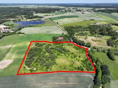 Mega okazja Piękna działka - Potrzanowo  -
wielkopolskie Zdjęcie nr 3