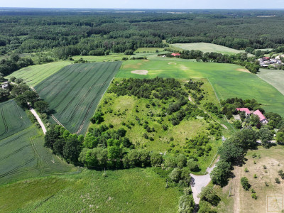 Mega okazja Piękna działka - Potrzanowo  -
wielkopolskie Zdjęcie nr 8
