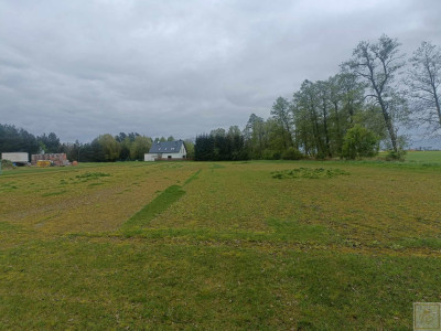 NOWA CENA Działki budowlane przy lesie z obowiązującym MPZP - Kopanina  -
wielkopolskie Zdjęcie nr 5