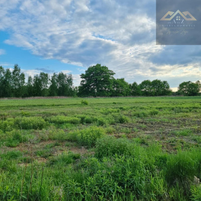 Działki z wz w Tarnowie - Tarnów  -
małopolskie Zdjęcie nr 10