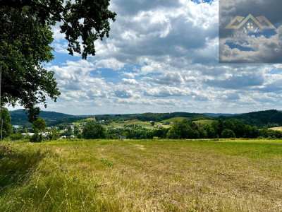 Las mieszany z widokiem na góry - Olszyny  - małopolskie